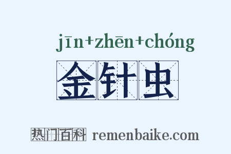 金针虫是什么意思的图片